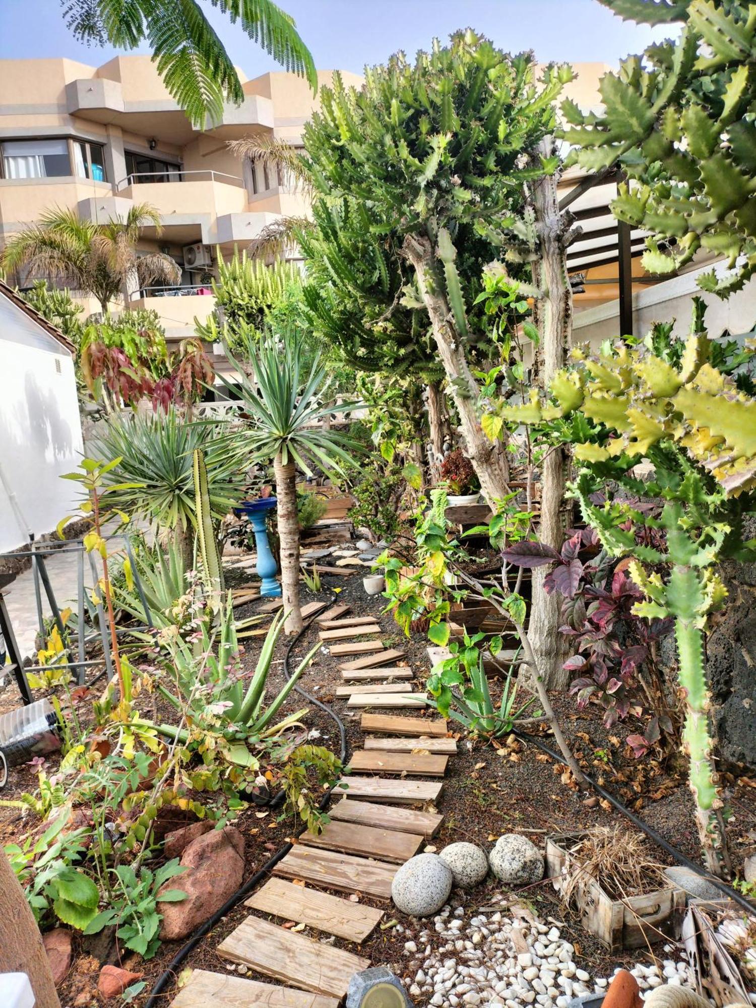 Apartamento Diamar Corralejo Exterior foto